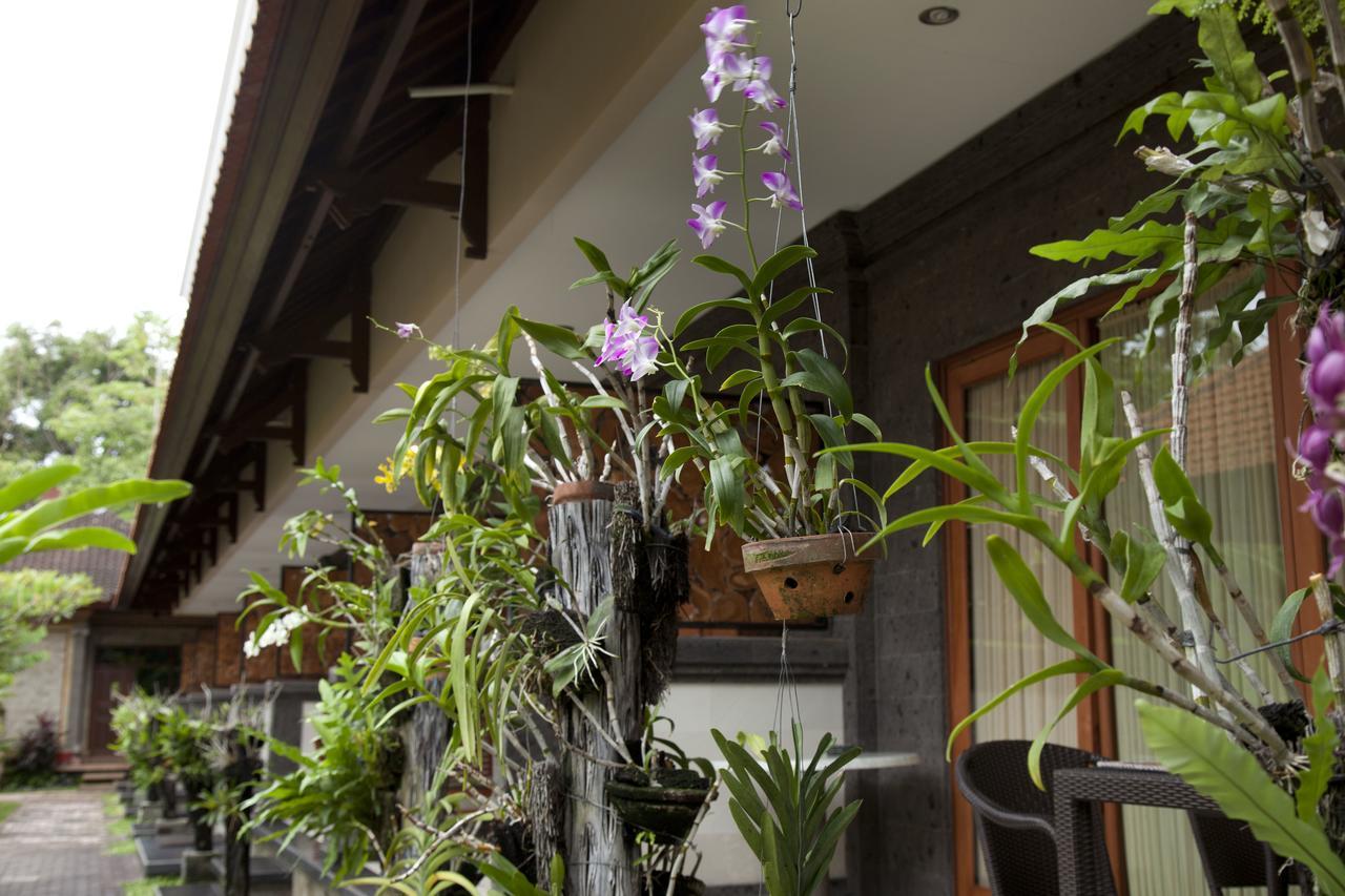 Jepun Bali 3* Kuta (Bali)